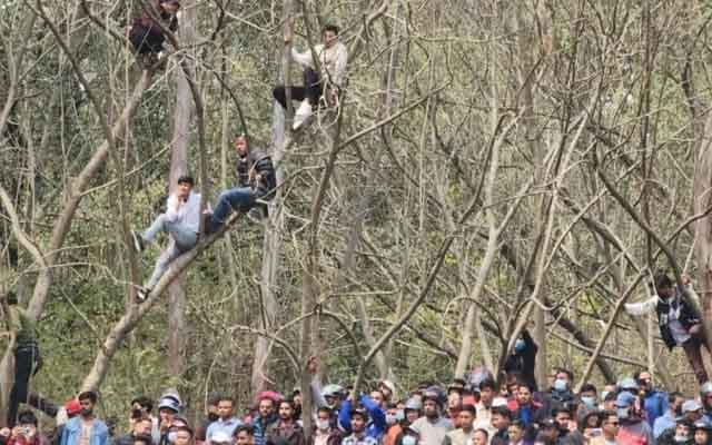 Cricket fans