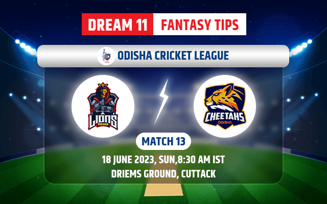 Odisha Lions vs Odisha Cheetahs Dream11 Today