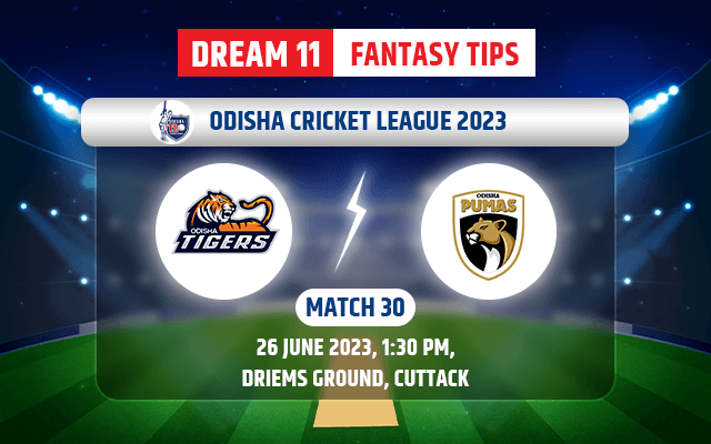 Odisha Tigers vs Odisha Pumas Dream11 Team Today