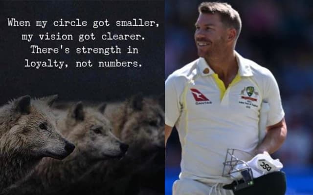 David Warner