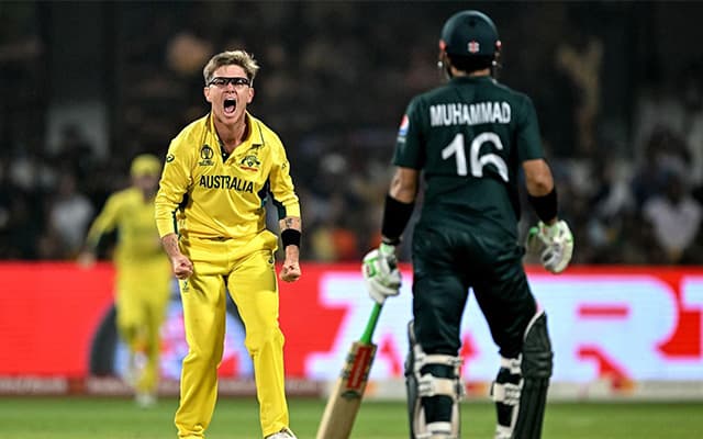 Adam Zampa and Mohammad Rizwan