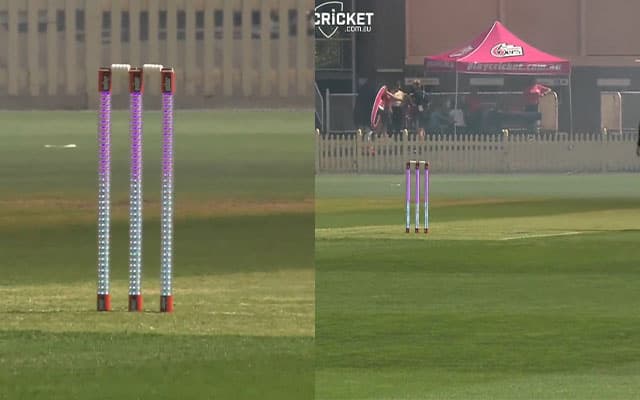 WBBL wickets