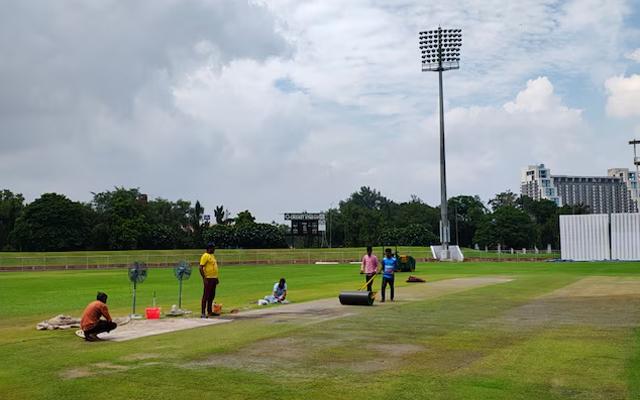 Cricket Pitch