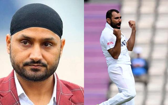 Harbhajan Singh and Mohammad Shami