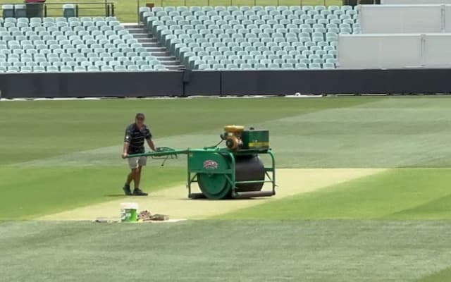 Adelaide Pitch