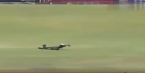 Mohd Rizwan takes a fantastic catch