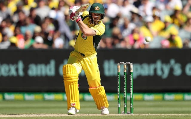 Matthew Wade has not played an ODI for Australia since playing against India in 2017.