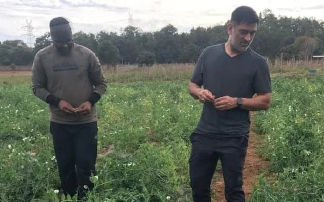 MS Dhoni in farm