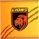 Lions Cricket Team