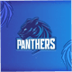 Panthers Cricket Team