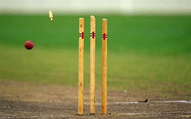 Cricket Stumps